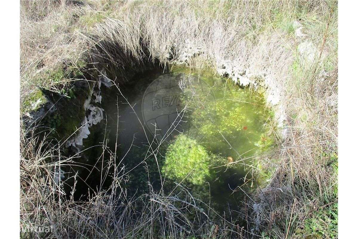 Quinta T0 para venda - Grande imagem: 3/25