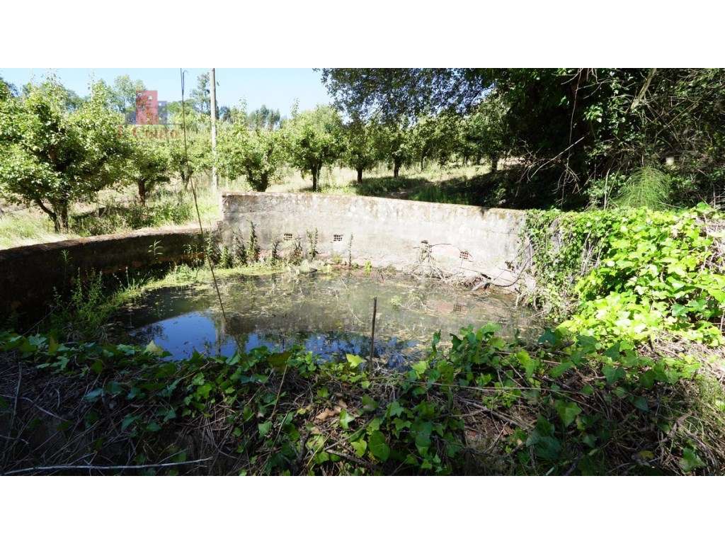 Quintinha com 14.000m2 de terreno com mina de água e árvores de fruto.-37