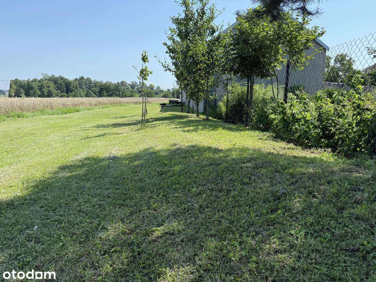 Siedlisko w mazowieckiej wsi-15