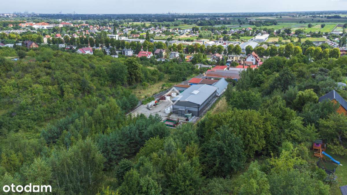 Magazyn | Hala | Chłodnia | Produkcja | Plac - Pełny obrazek: 4/12