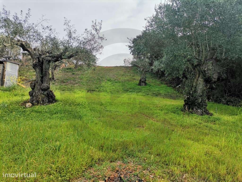 Terreno para construção - Grande imagem: 3/4