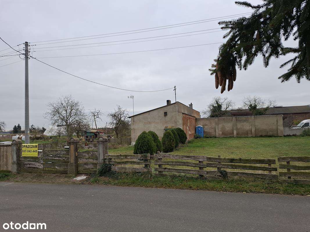 Działka, 2427.0 m², Stęszew-3