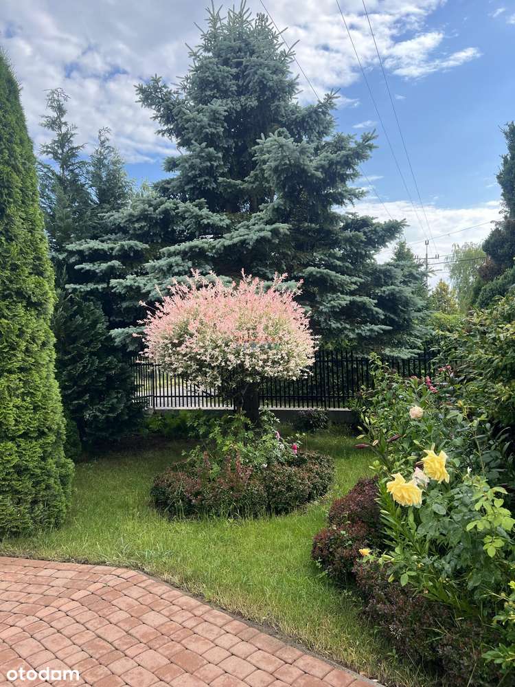 Dom, 225.0 m², Jastrzębie koło Konstancina Jeziorna-7