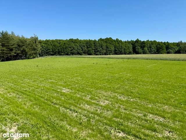 OSADA nad jeziorem (media, las, staw, mpzp)-7