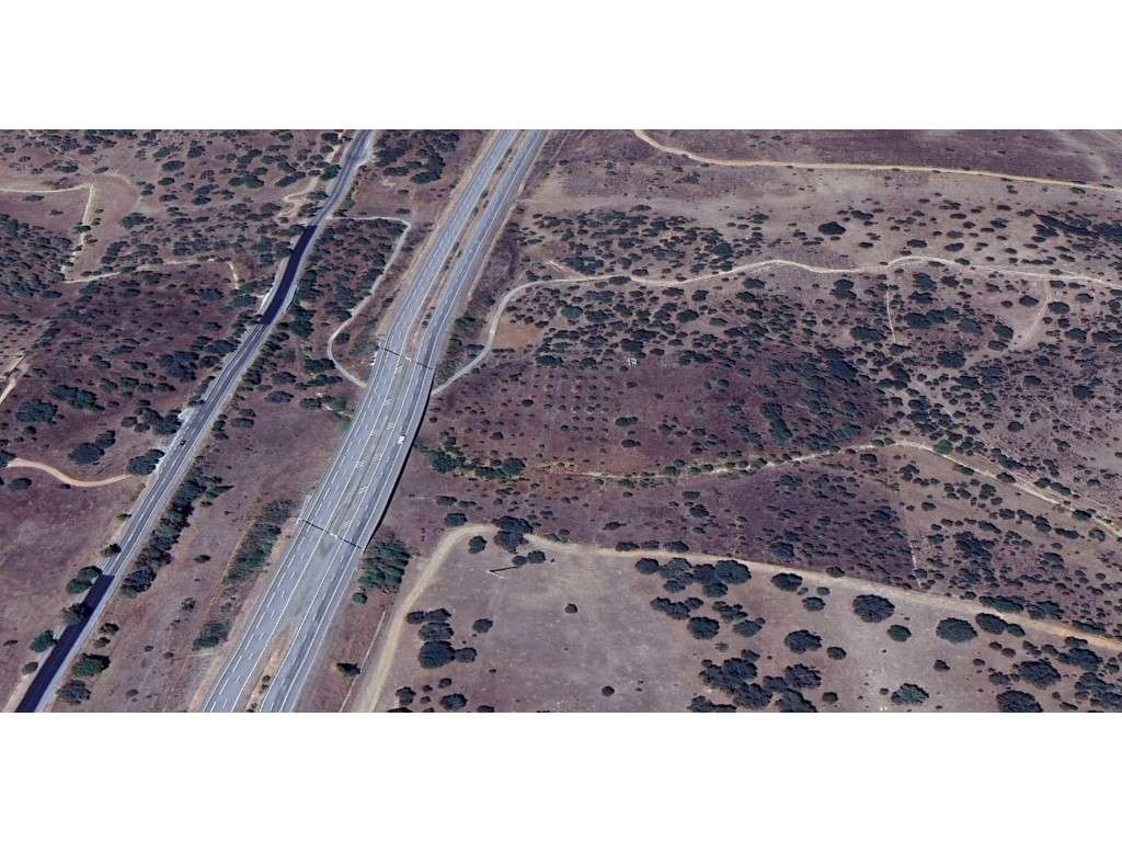 Terreno rústico com 11.800m2 a 10 minutos de Elvas - Grande imagem: 5/9