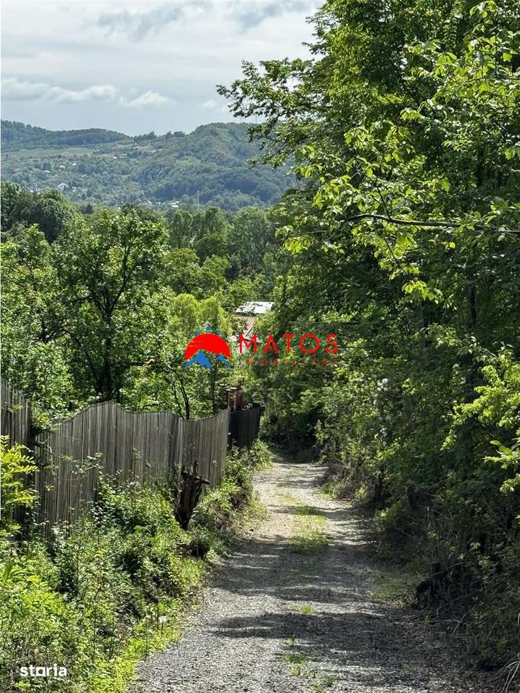 Teren intravilan 1.300 mp în Cornu de Jos, Prahova – zona linistita, u-6