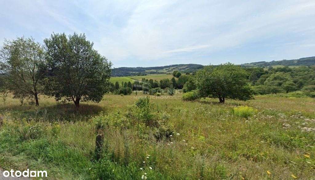 Piękna działka widokowa w górach, Drogosław - Pełny obrazek: 3/6