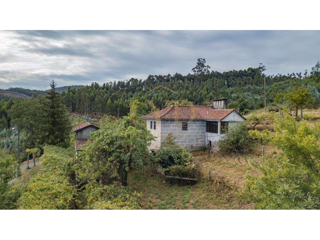 Quinta em Nogueira Paraíso Castelo de Paiva - Grande imagem: 2/27