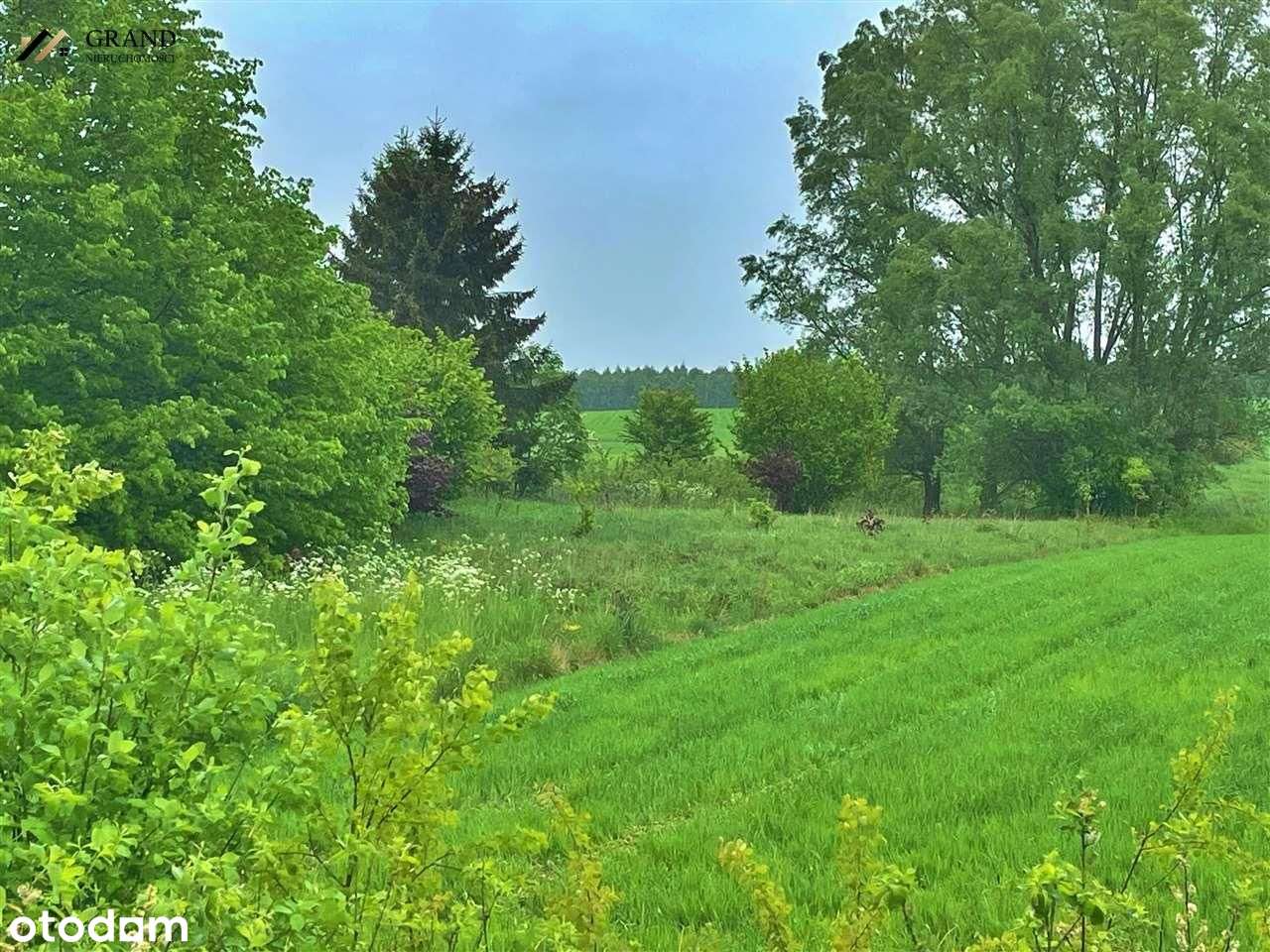 Działka pod zabudowe jednorodzinną- Karwin - Pełny obrazek: 5/9