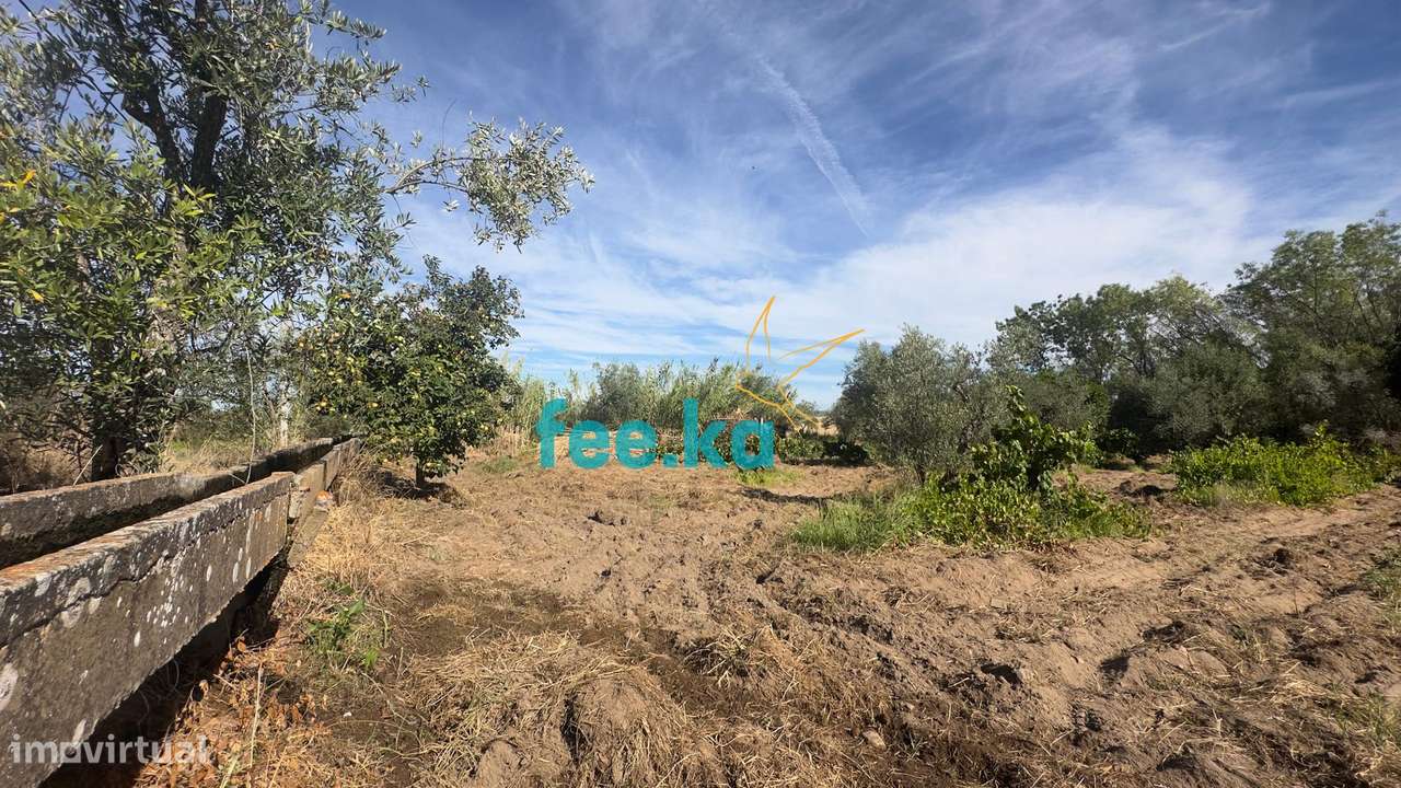 Terreno em Ladoeiro-42