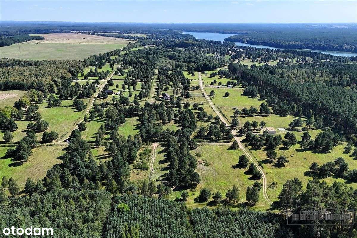 Działka nad jeziorem. Prąd, wodociąg, plaża. - Pełny obrazek: 4/20