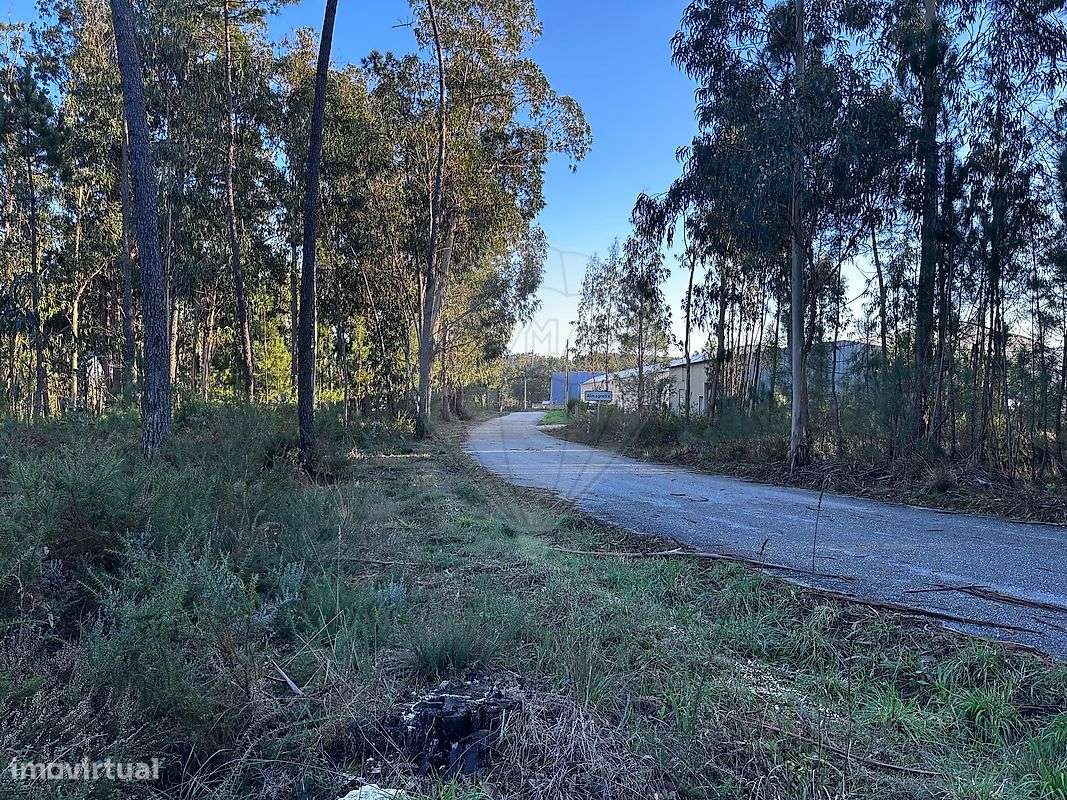 Terreno  para venda - Grande imagem: 5/19