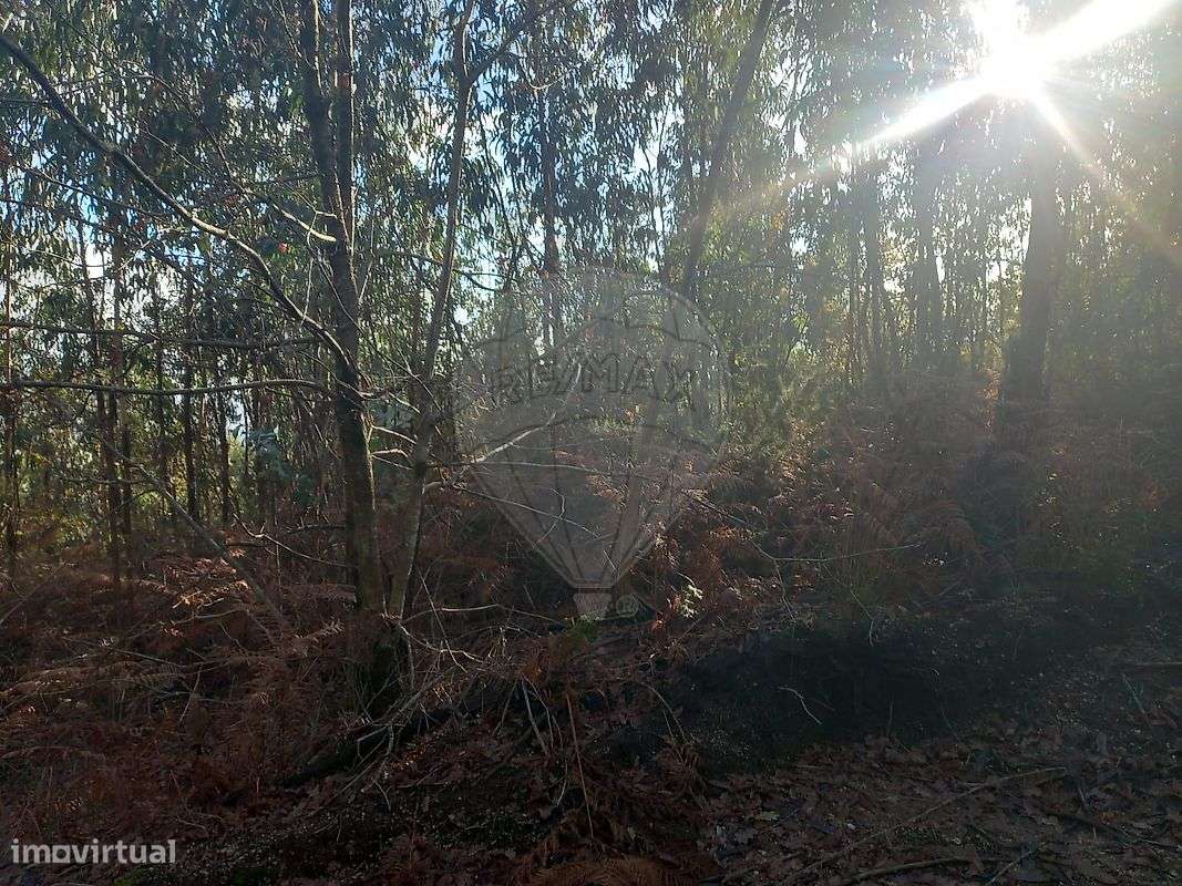 Terreno  para venda - Grande imagem: 4/7