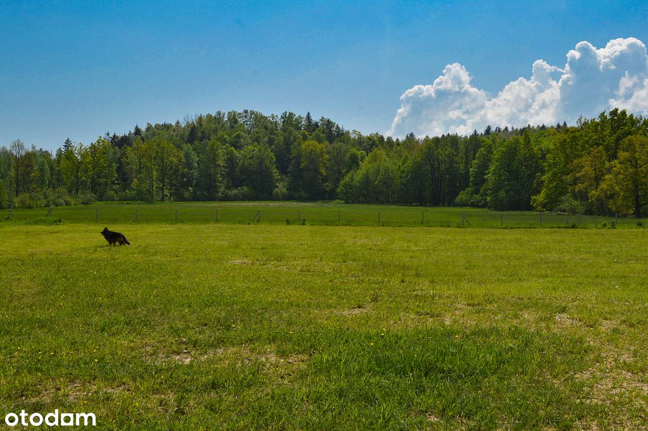 Przestronny nowy dom 707 m2  z działką 9499m2. Rębiszów-12