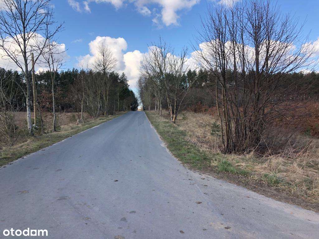 Działki z możliwością zabudowy, blisko Goleniowa - Pełny obrazek: 4/4