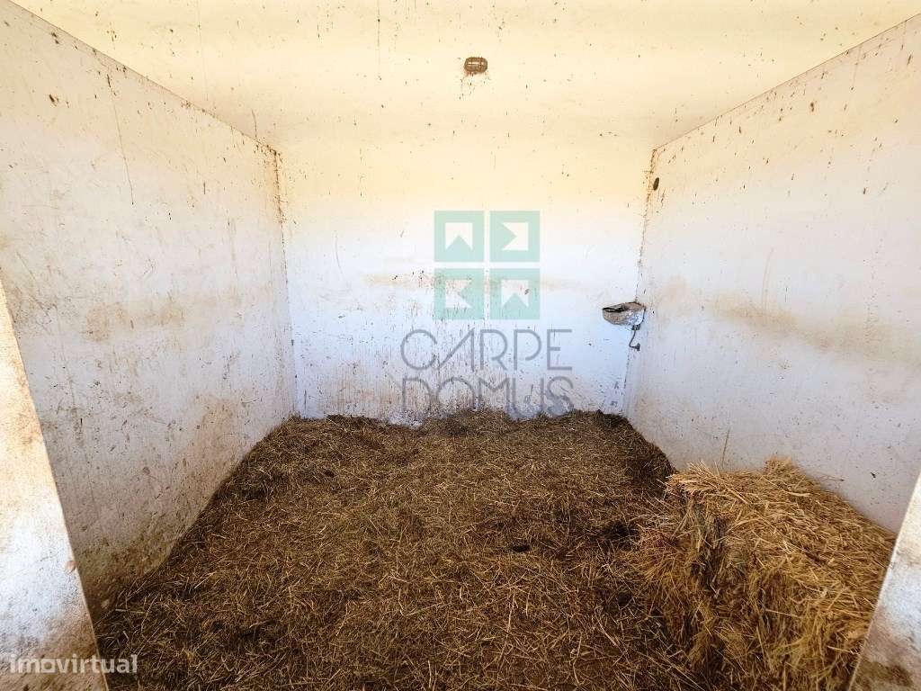 Herdade equestre com moradia T5 e piscina, 93,5ha, em Ourique, Alen...-25