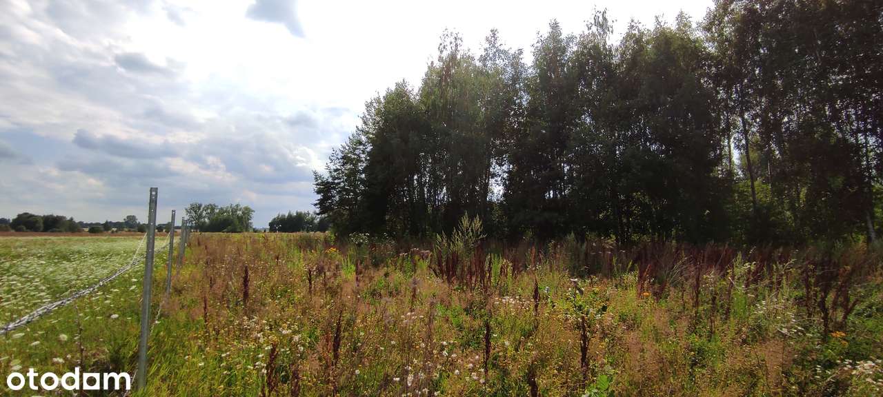 Działka w Rafałówce z warunkami zabudowy - Pełny obrazek: 4/4