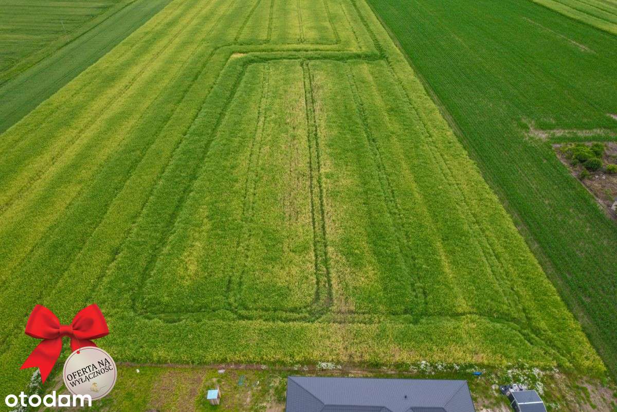 Działka budowlana Niedrzwica Duża - Pełny obrazek: 5/6