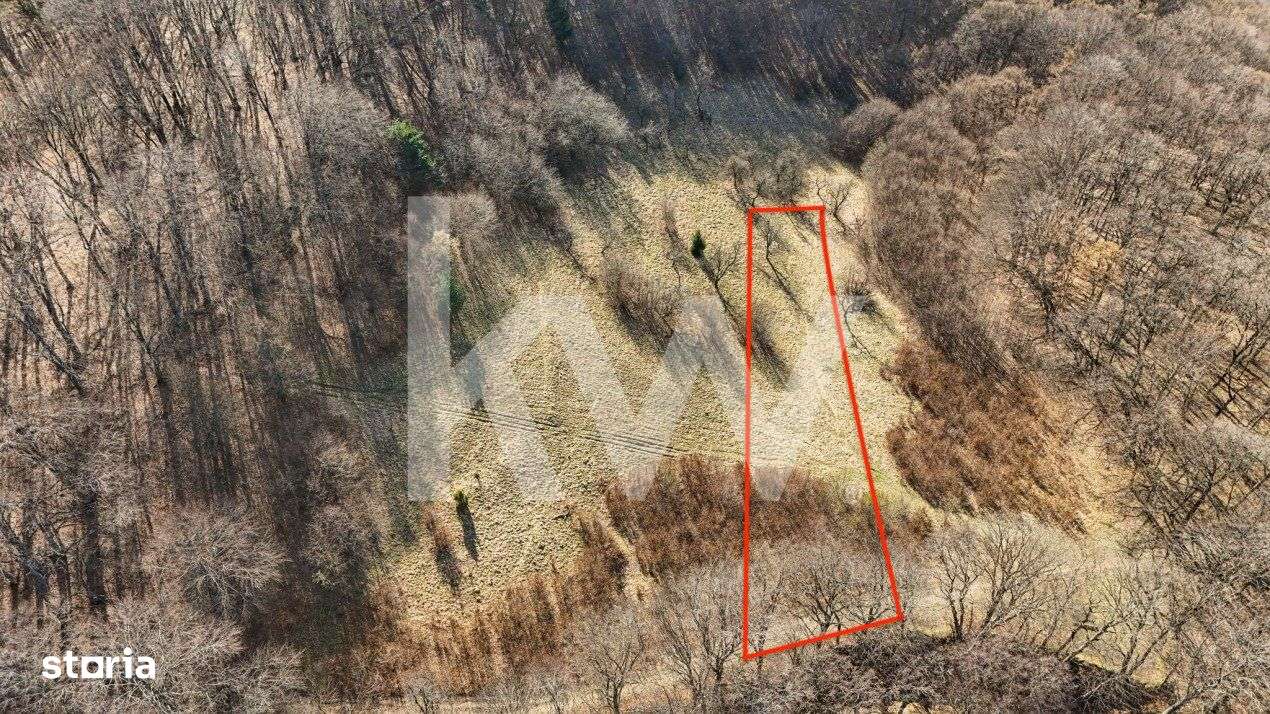 Cel mai mic pret din zona! Teren intravilan in zona Belvedere - Imagine principală: 1/8