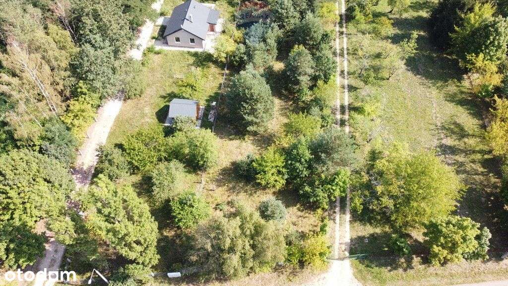 Działka budowlana 5000 m² – Różan, Narew - Pełny obrazek: 4/12