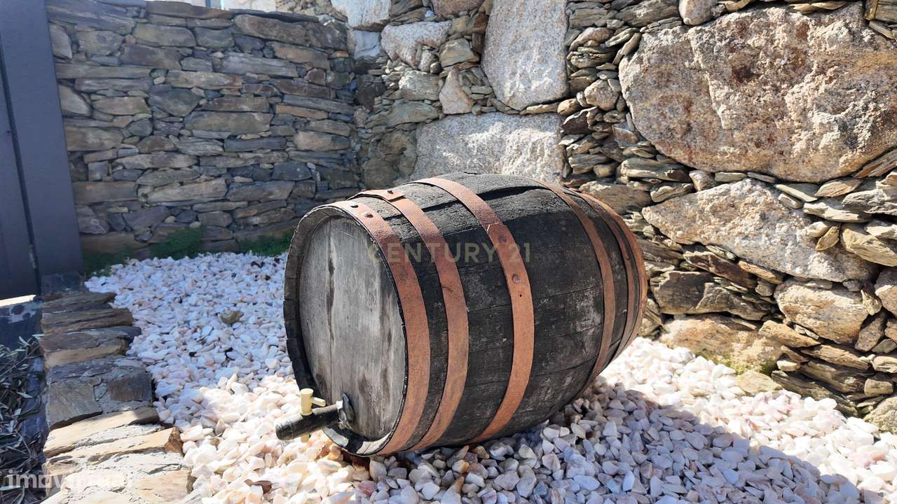 Quinta no Alto Douro Vinhateiro com Projeto Turístico Aprovado-9