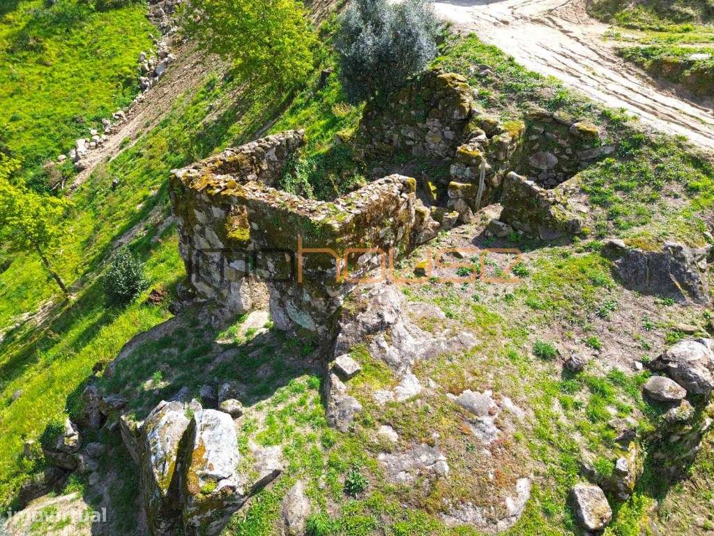 Quinta com frente de Rio Douro - Grande imagem: 4/35