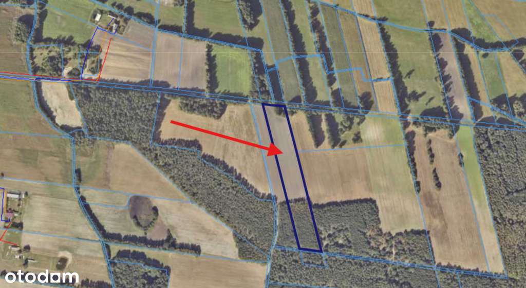 Działka rolna w cichej okolicy - 1,56 ha