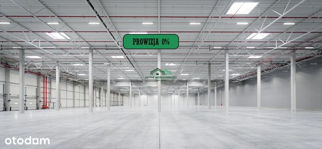 Powierzchnia magazynowa, hala, 6000m2, 0% Prowizji