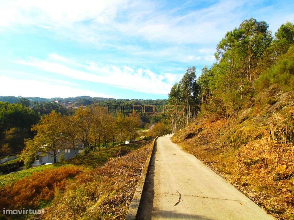 Moradia pronta habitar na Montanha - 1ha de Terreno-48