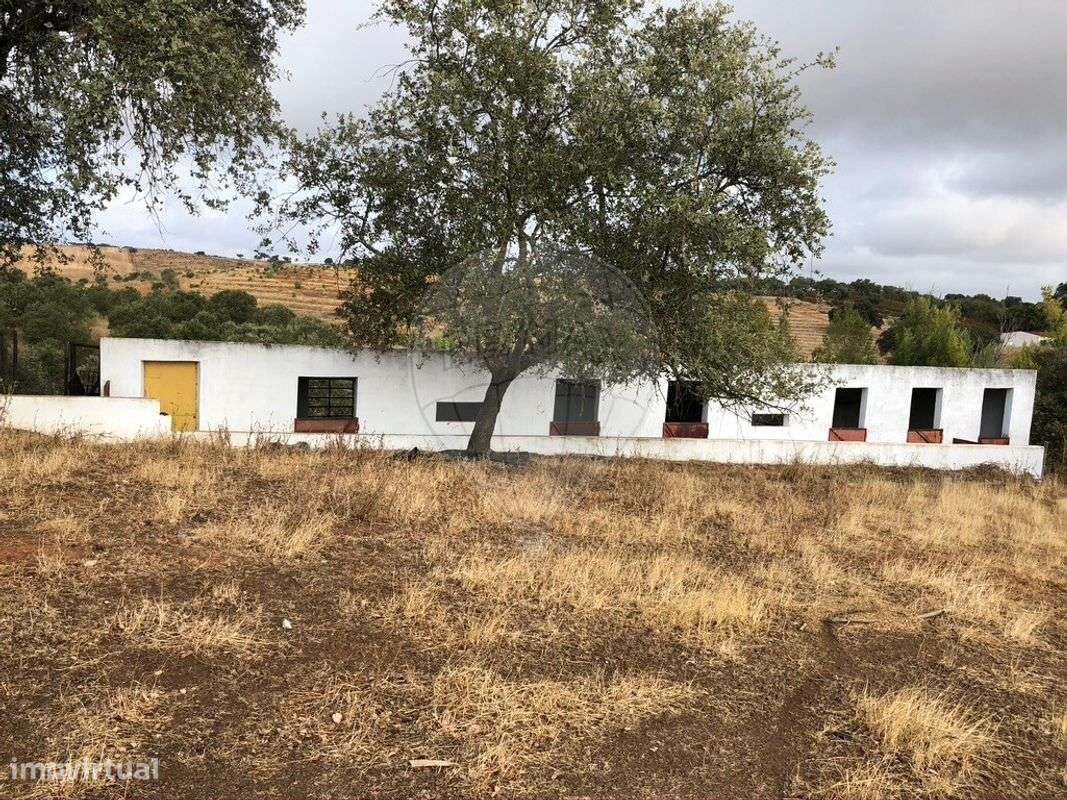 Quinta T6 para venda-18