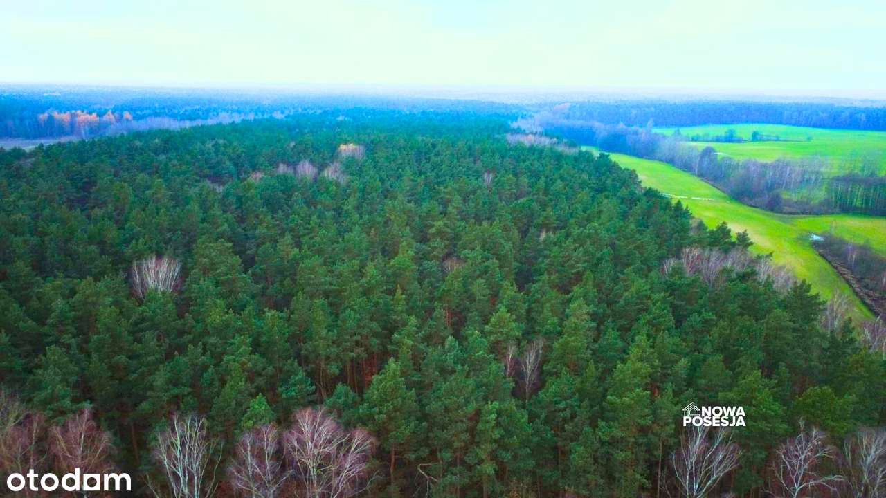 Działki Budowlane w Borach Tucholskich Atrakcyjna Cena-0