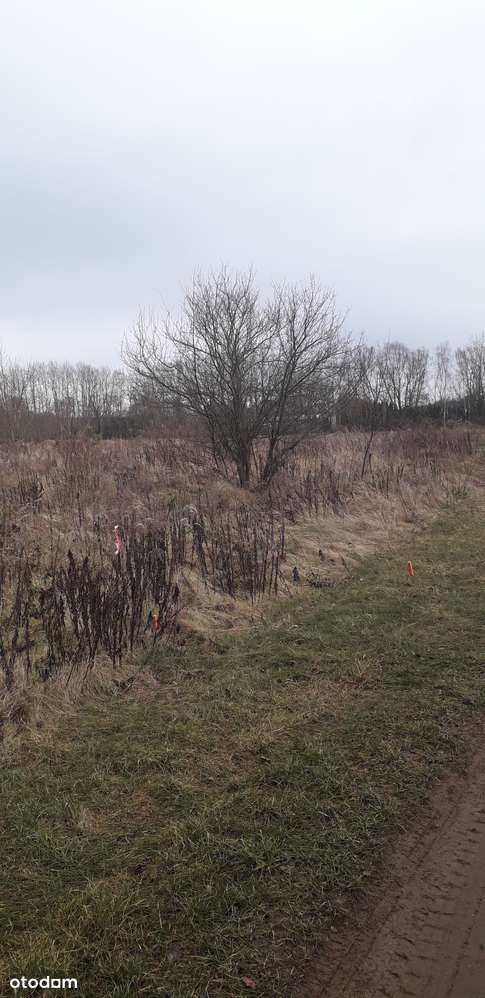 SANTOCKO DZIAŁKA BUDOWLANA 1276 m2-5