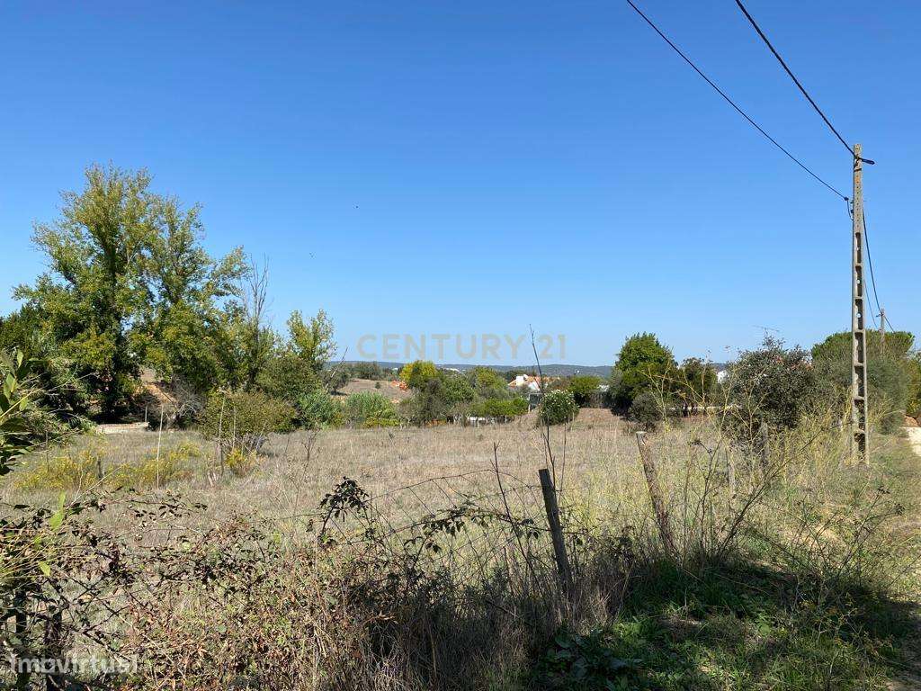 Quinta com 2,6ha, próxima da cidade de Montemor o Novo - Grande imagem: 2/27