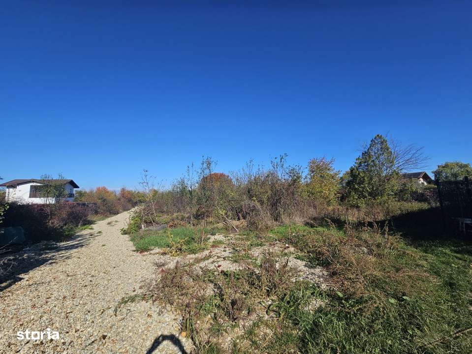 Teren de vanzare in Vladiceasca, 720mp, langa DN1 - Snagov Plaza-14