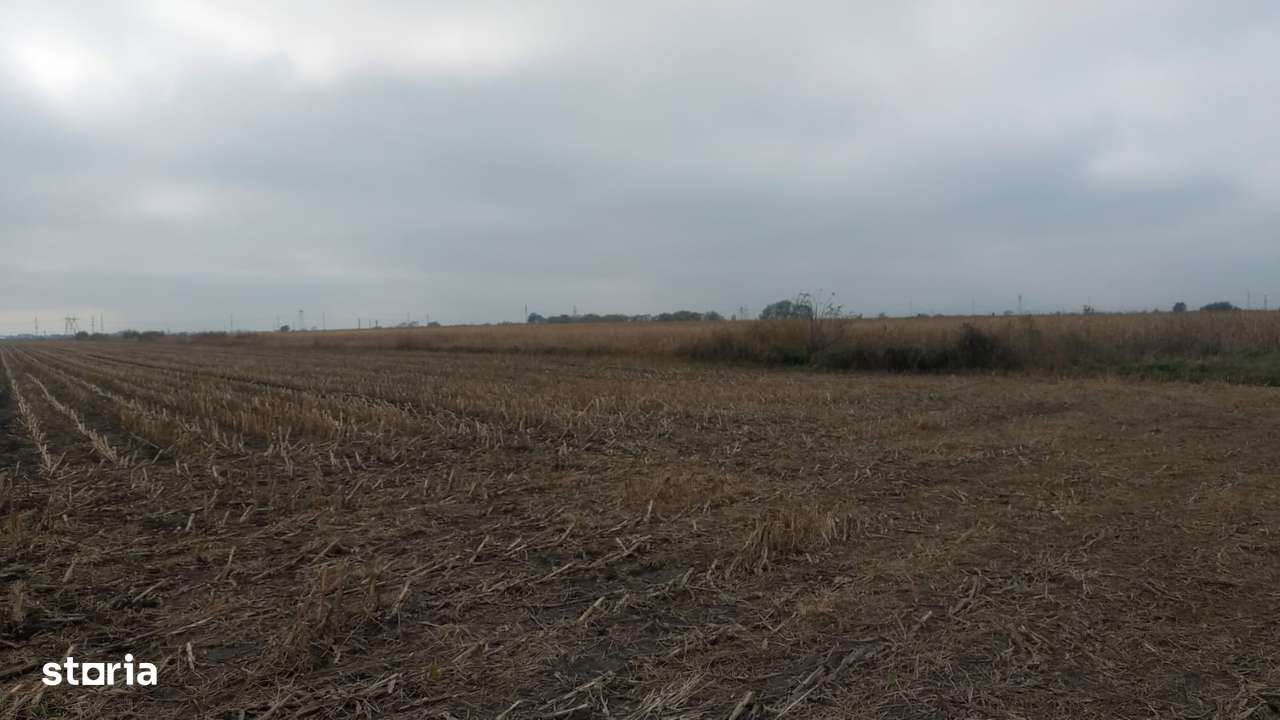 Teren intravilan 500mp in Brasov - Imagine principală: 5/6