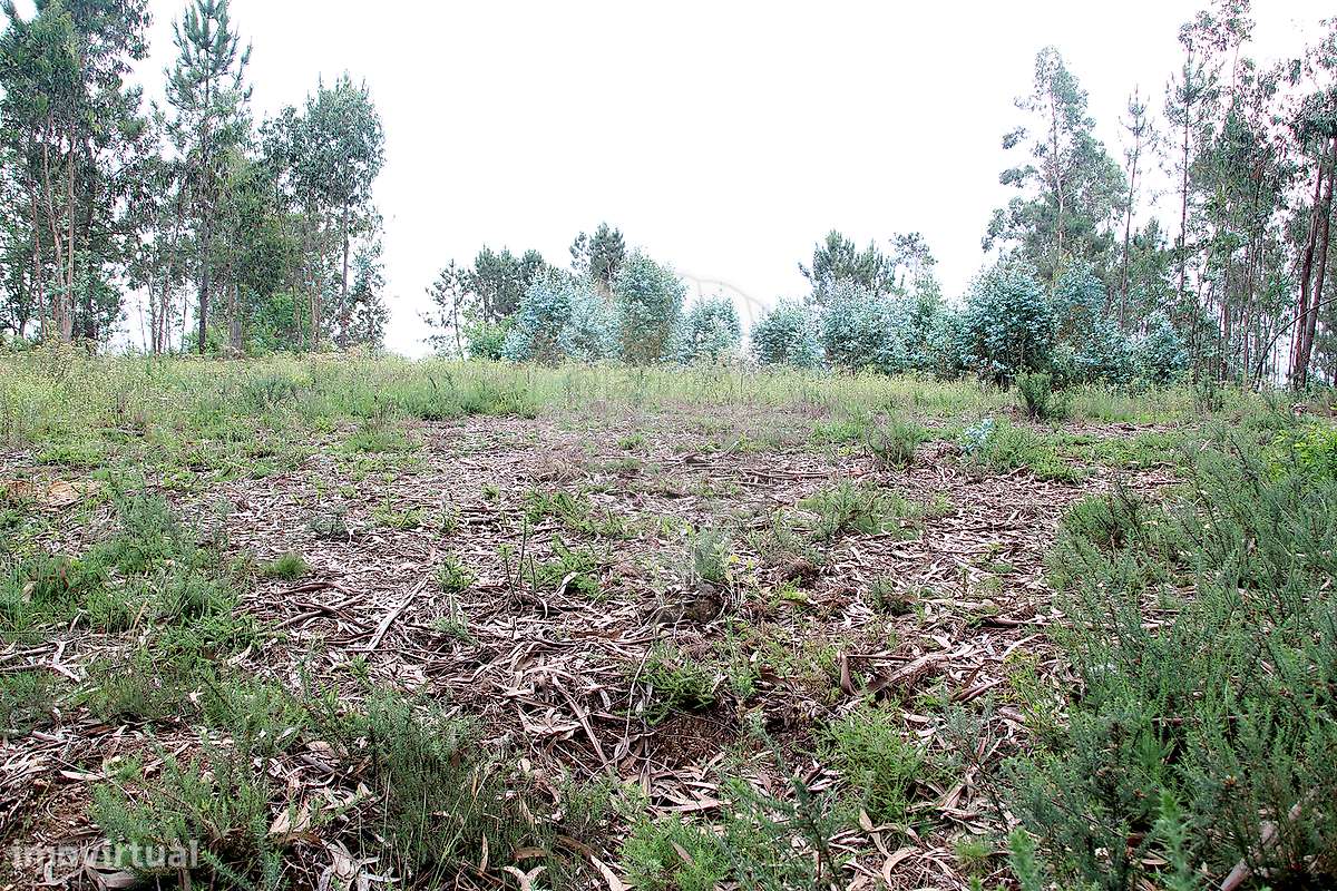 Terreno  para venda-23
