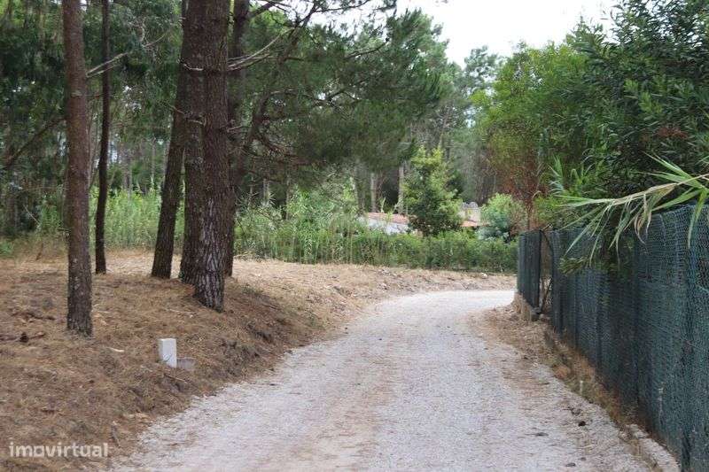 Terreno Rústico em Janas - Grande imagem: 2/11
