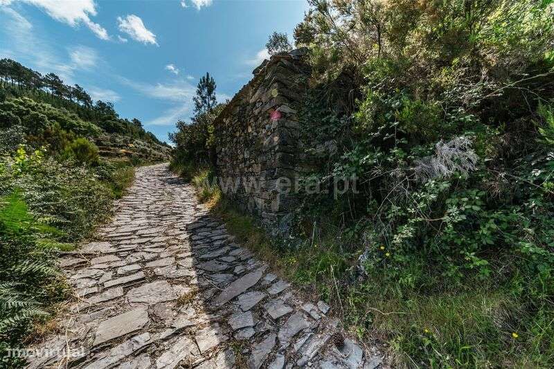 Terreno Rústico / Fundão, Bogas de Cima - Grande imagem: 2/14