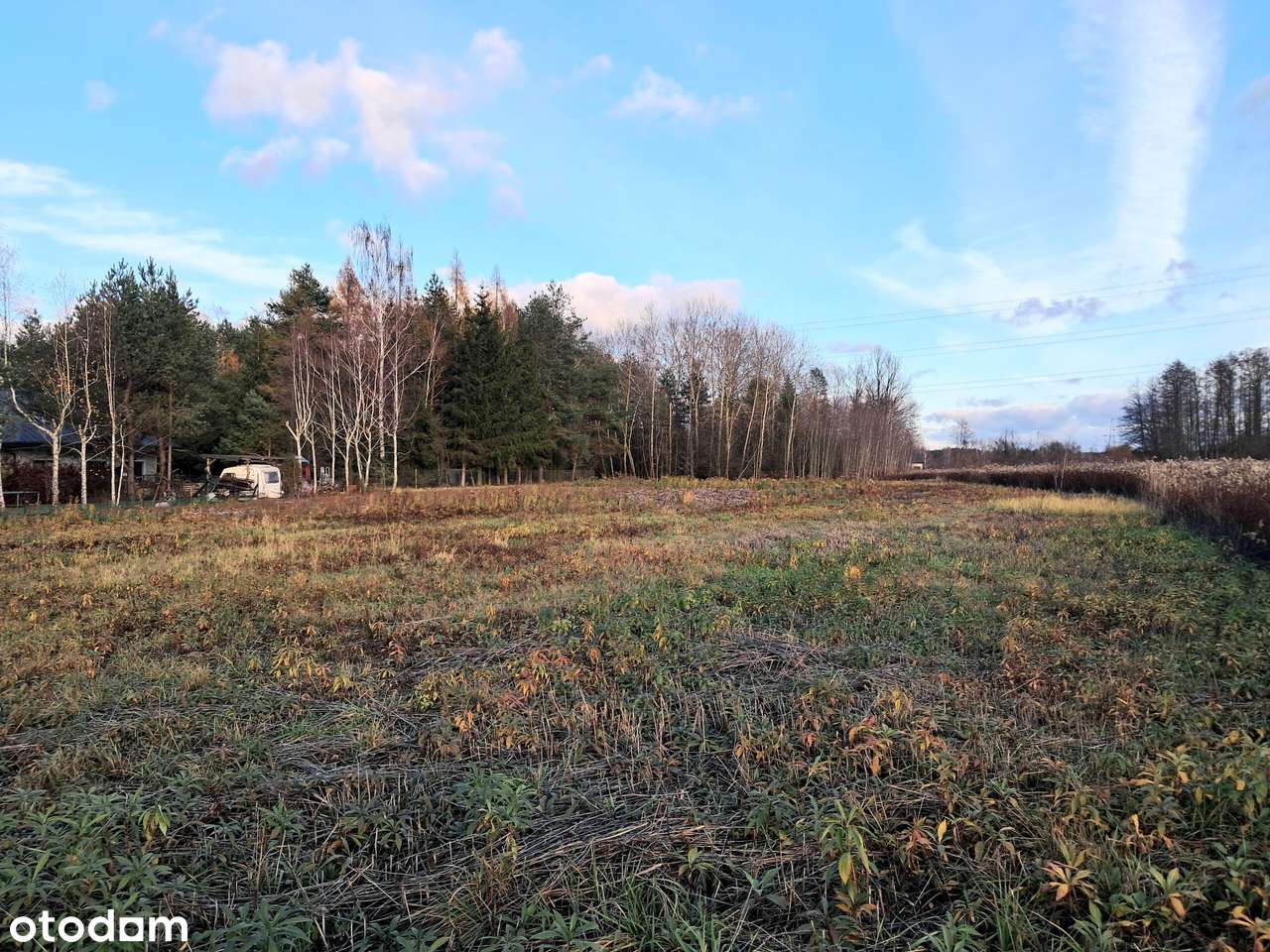 DZIAŁKA BUDOWLANA/Wola Karczewska/3500 m²/Warunki zabudowy na dwa domy - Pełny obrazek: 5/10