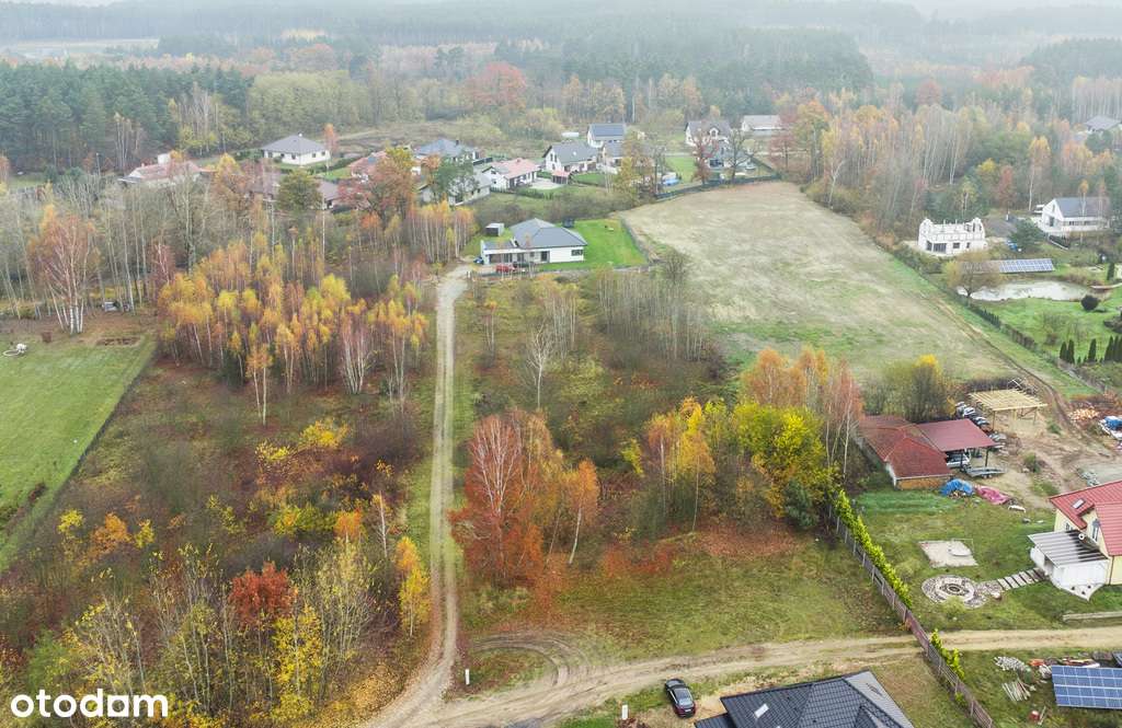 Słoneczna działka 1444 m² – Blisko Zielonej Góry! - Pełny obrazek: 4/13