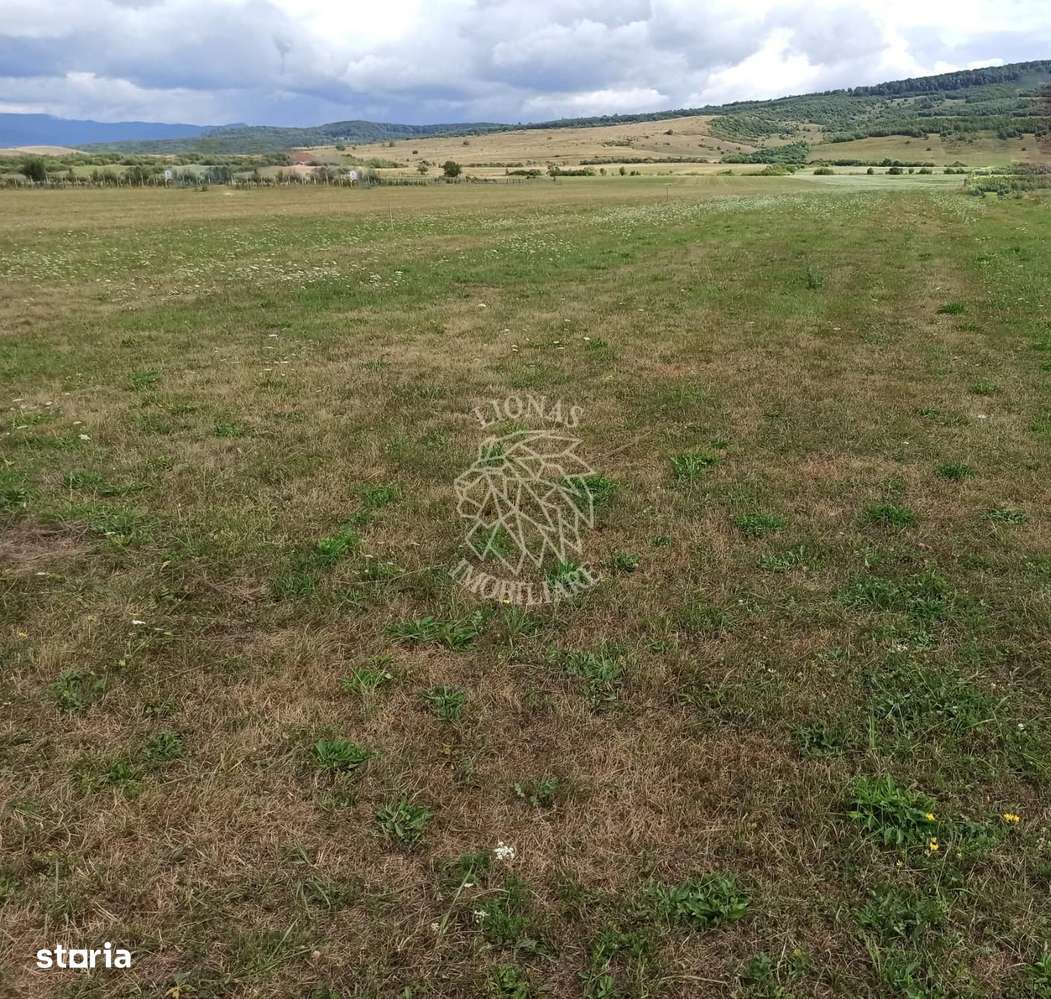 Teren intravilan 5217 mp cu utilitati-ideal case-Livezile - Imagine principală: 2/3