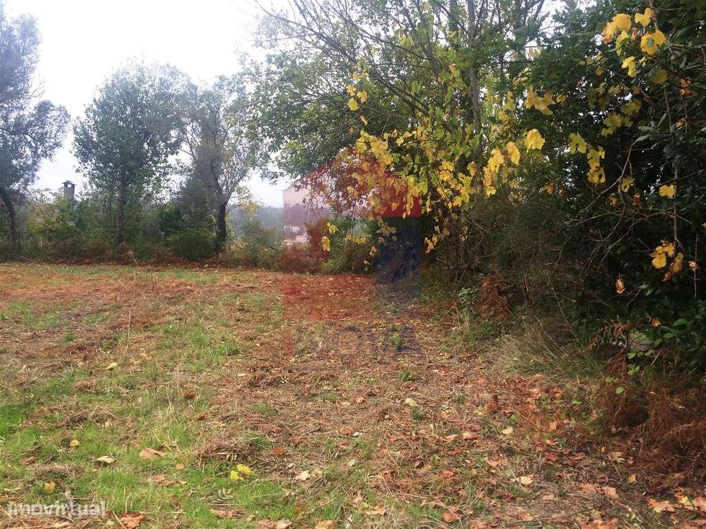 Terreno agrícola, Portela das Cabras - Grande imagem: 3/8