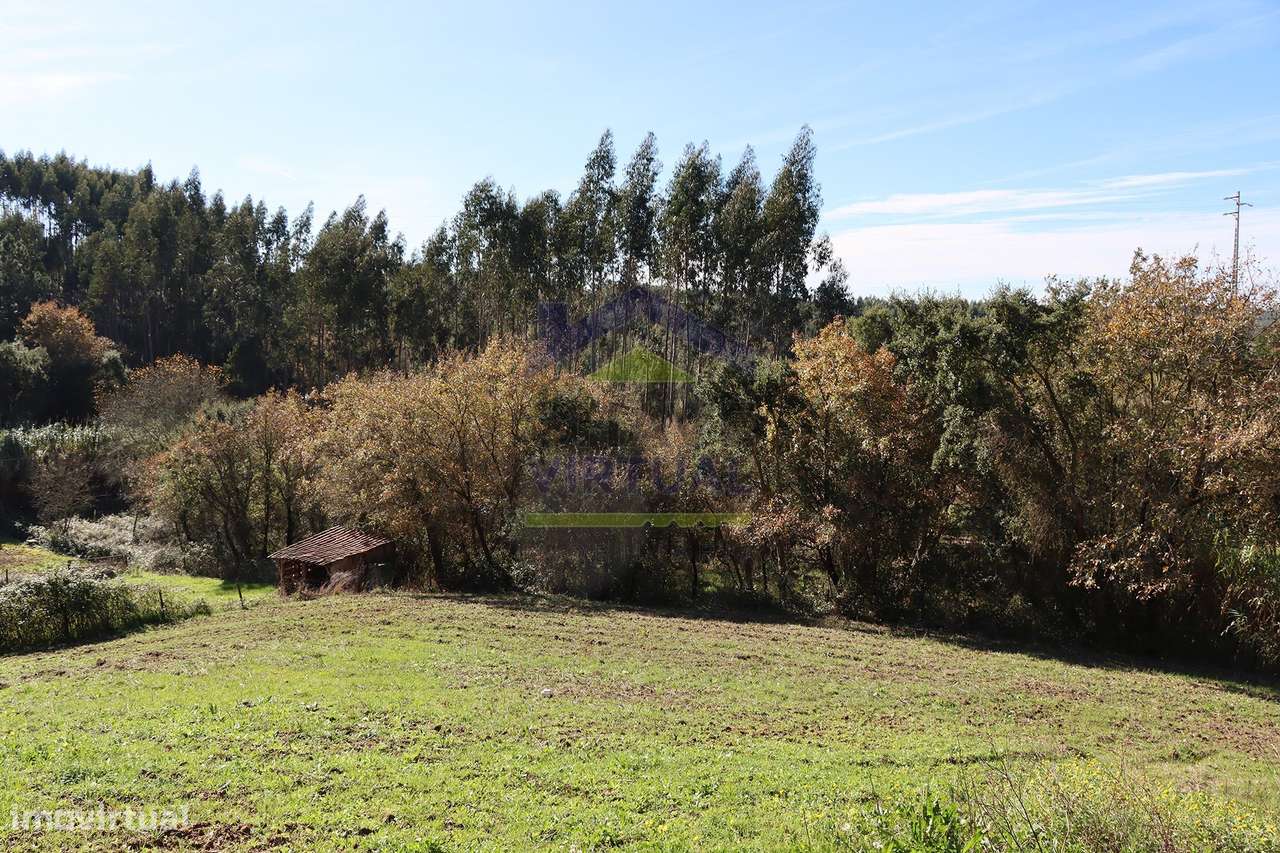 Magnífica Quinta c/ 10.490 m2 Concelho Cadaval-42