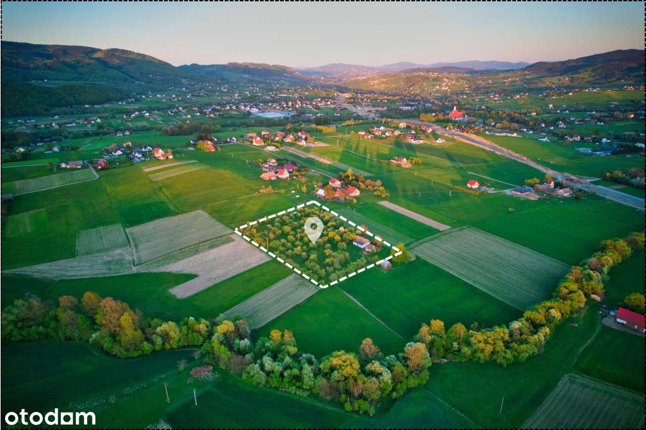 Działka INWESTYCYJNA 1,31 ha w trakcie przekształcenia - Pełny obrazek: 5/5