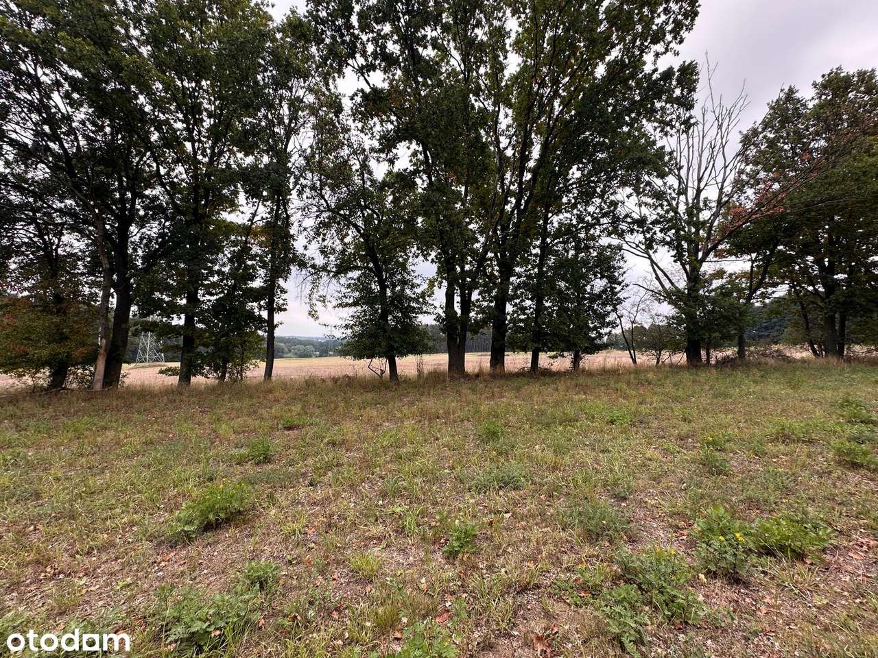 Atrakcyjna działka budowlana przy lesie, wieś Śrem k.Sierakowa-5