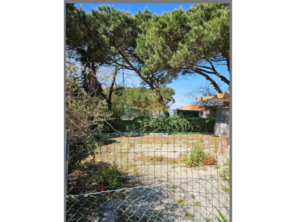 Terreno Urbano na Falésia da Caparica - Grande imagem: 5/9