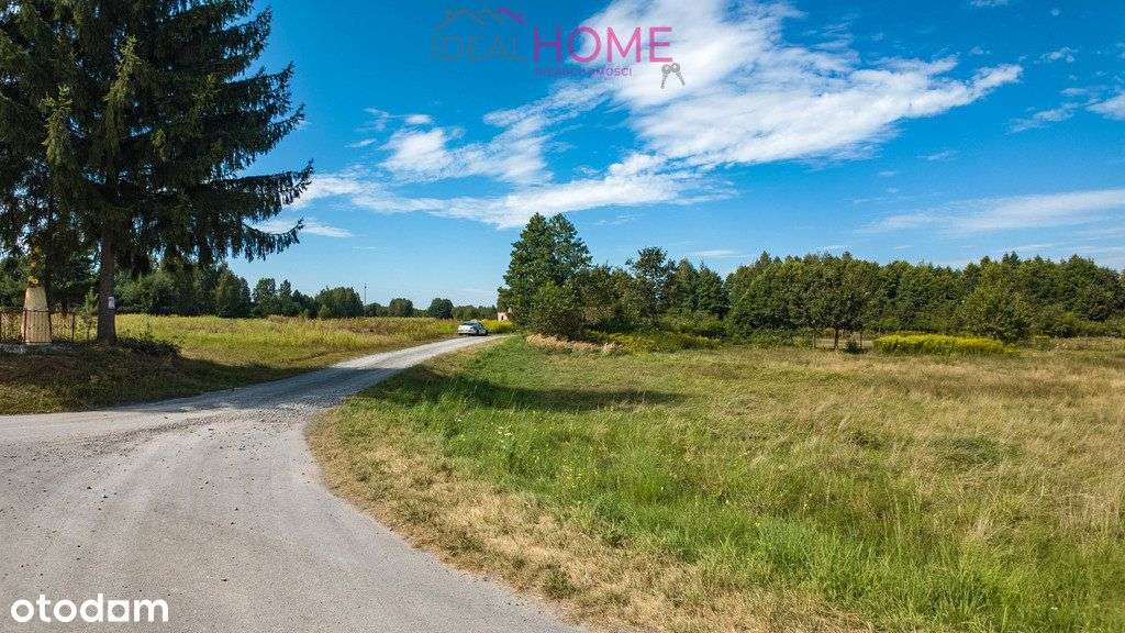 Działka budowlana blisko lasu - Trzeboś - Pełny obrazek: 4/14