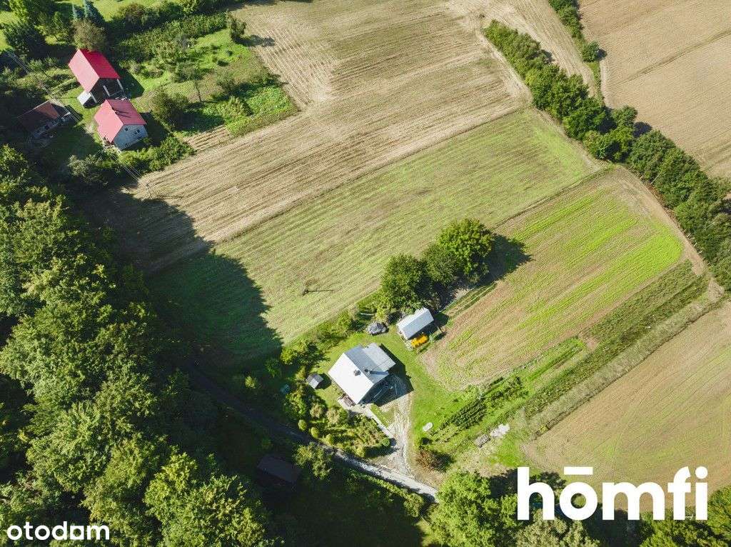 52,5 ara | pod lasem | Przybysławice, gm. Skała - Pełny obrazek: 5/12