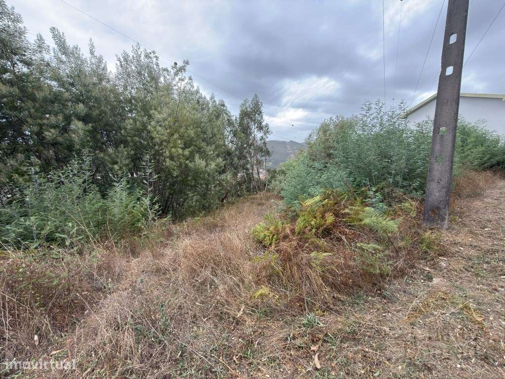 Terreno para construção em Ceira - moradia independente-10