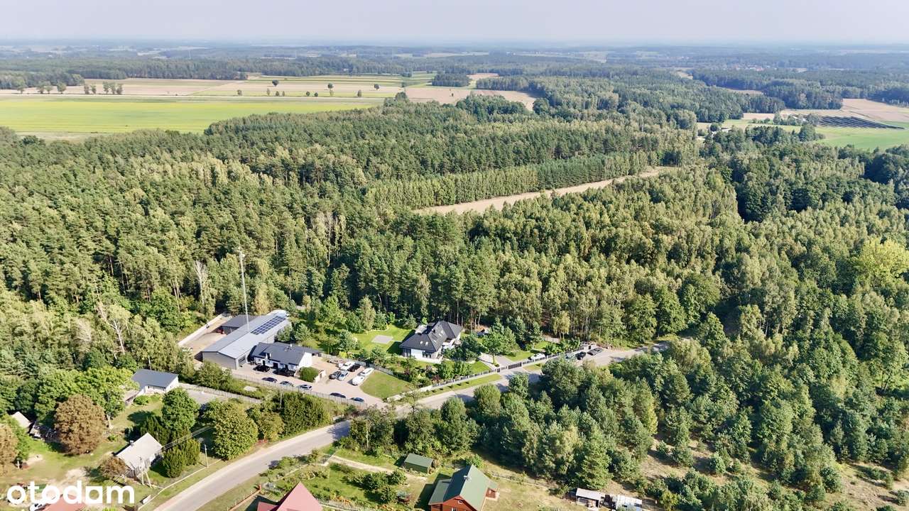 Wyjątkowa nieruchomość w pobliżu A2 - Pełny obrazek: 4/15